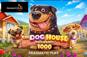 Game 2 Playcet Casino